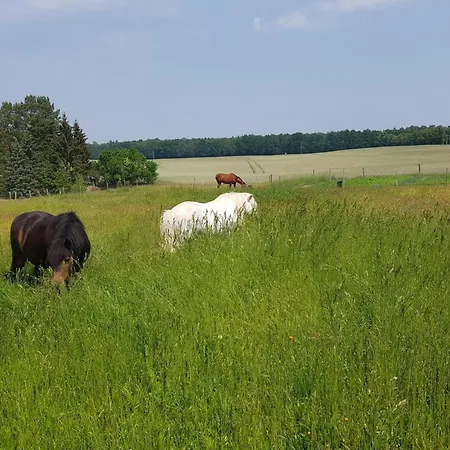 Am Reiterhof Appartamento Templin